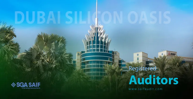 DSO Registered Auditor