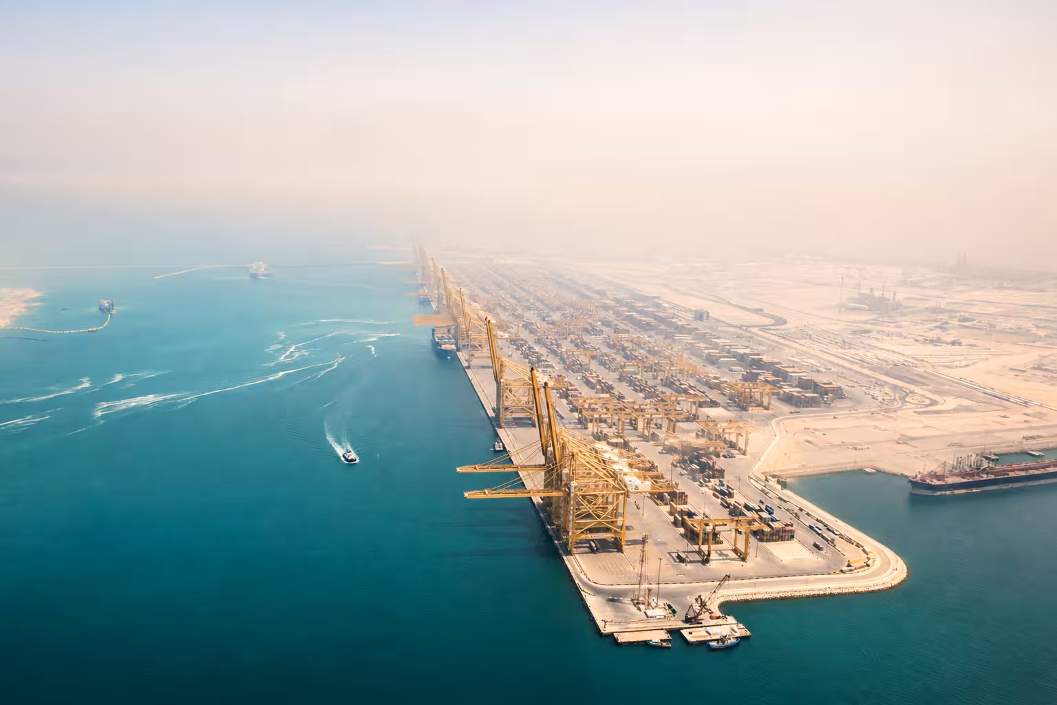 Finance professionals reviewing free-zone business records